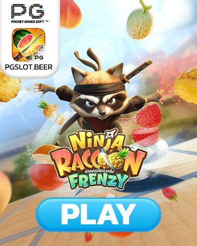 ninja raccoon frenzy
